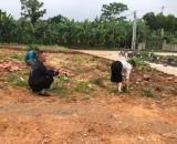 Chính Chủ Bán 2 Lô Đất Đẹp – Sổ Đỏ Riêng, Giá Tốt Tại Tam Dương