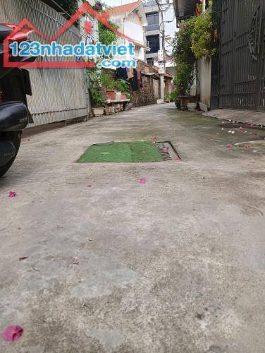 Vị trí đắc địa đường Trường Lâm - Long Biên. - 2