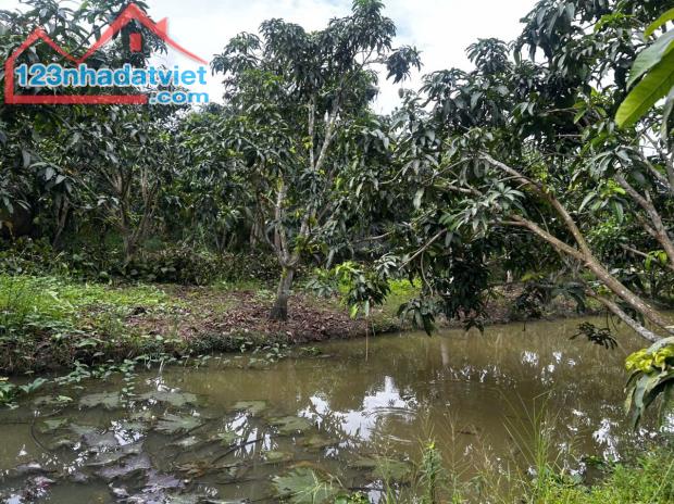 ĐẦU TƯ SINH LỜI – CHÍNH CHỦ CẦN BÁN ĐẤT Tại  xã Đông Hiệp, huyện Cờ Đỏ, tp Cần Thơ - 2