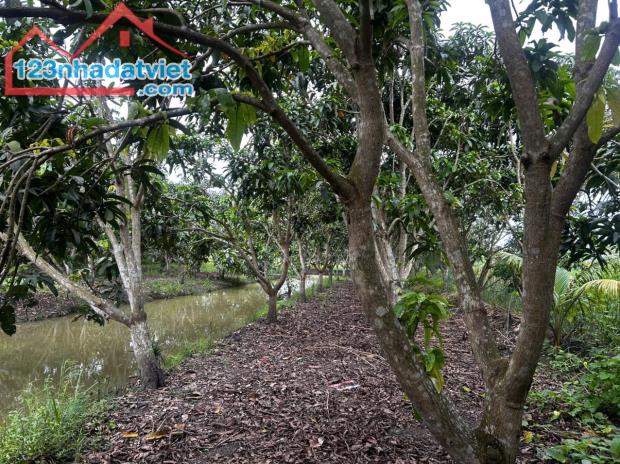 ĐẦU TƯ SINH LỜI – CHÍNH CHỦ CẦN BÁN ĐẤT Tại  xã Đông Hiệp, huyện Cờ Đỏ, tp Cần Thơ - 3