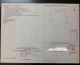 Siêu phẩm giá tốt. 2 sào Bàu Cạn Cũ. Nay thuộc Long Phước. Đối diện KCN Bàu Cạn- Tân Hiệp.