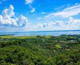445 triệu/sào đất vườn cạnh sông La Ngà - Gần cao tốc - Sổ riêng