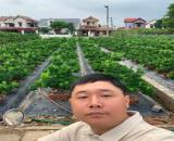 🔥 HOA HẬU MỄ SỞ  141 m - 2 MẶT THOÁNG ĐƯỜNG APPHAN Ô TÔ CHẠY. 🔥