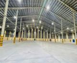Mừng Khai Trương - Cho Thuê Kho Lưu Trữ Hàng Hóa Thủ Đức – Thuận Tiện Kết Nối BD & TP HCM