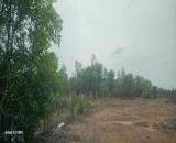 Bán đất trung tâm Định Quán, Đồng Nai