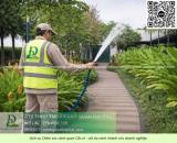 Chăm sóc cây xanh Cắt cỏ KCN Biên Hòa Đồng Nai