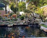 Biệt thự cao cấp 325m Gamuda Garden Hoàng Mai Hà Nội nội thất rát vàng cao cấp an ninh bẻ