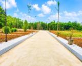Mua bán đất thổ cư giá rẻ tại cửa tùng