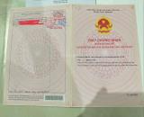 CHÍNH CHỦ CẦN BÁN GẤP NHÀ MẶT TIỀN TRẦN THỦ ĐỘ – NGANG 33M – ĐẤT NỞ HẬU – DÒNG TIỀN SẴN