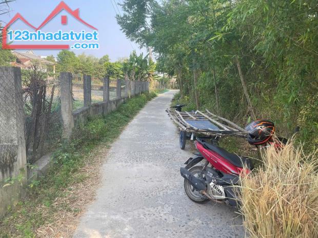 ►  CHỈ 170 TRIỆU – SỞ HỮU LÔ ĐẤT 625,7m² CÓ SỔ ĐỎ RIÊNG - 3