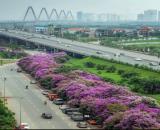 Vợ chồng trẻ về ở thôi 2N , 1wc full đồ _ view đẹp, tiện ích bạt ngàn_ giao thông thuận lợ