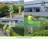 CÔNG TY CÂY XANH AN PHƯỚC ĐỒNG NAI