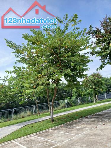 *Bán đất view Hồ, đường Phạm Viết Chánh (7m5), Cẩm Lệ, dt giá 5,7 Tỷ