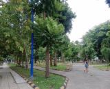 Nhà cấp 4 Trung Mỹ Tây, diện tích : 4x 15m