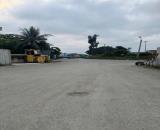 42. Cho thuê bãi đã san lấp, thảm base, nền cao, không lụt kv K9 Đình Vũ, Đông Hải, Hải