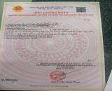 CHÍNH CHỦ CẦN BÁN Đất Vị TRí Đẹp Đường Thạnh Xuân 25, P. Thạnh Xuân, Q. 12, TP. Hồ Chí