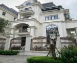 Cho thuê nhà, Lạc Long Quân, Võ Chí Công, THANG MÁY, 332m2x 4T -61 tr