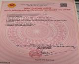 BÁN NHANH LÔ ĐẤT ĐẸP GIÁ CHỈ HƠN 1 tỷ 5xx • Xóm 8 , Nghi Phong (  Vinh Lộc mới )