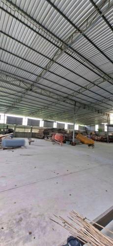 CHO THUÊ KHO XƯỞNG..XUÂN THỚI SƠN 1000 m2 - 35 TRIỆU - 3