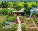 bán đất ,230 m2, đường bê tông 6 m,đường xe hơi ,ngay chợ giá tốt
