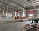 Cho thuê nhà máy tại Lâm Thao Phú Thọ DT 11.000m2