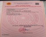 đất xóm 8 , Nghi Phong đường nhựa 10m , ô tô tránh nhau giá ngộp