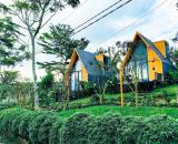 chủ ngộp bán gấp 200m2 đất nghỉ dưỡng view rừng thông sổ sẵn giá siêu ngộp