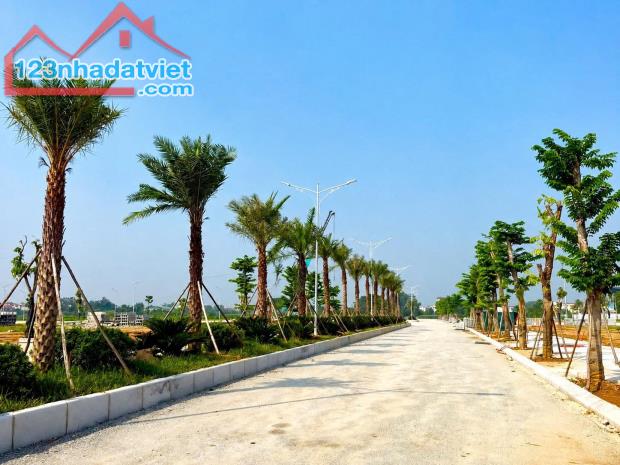 YÊN LẠC DRAGON CITY – CƠ HỘI ĐÓN ĐẦU TỪ ĐỢT RA HÀNG ĐẦU TIÊN! - 4