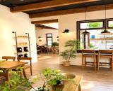 BÁN BIỆT THỰ LÔ GÓC 3 MẶT ĐỀU Ô TÔ TRÁNH PHỐ TRẦN QUỐC HOÀN 250M2 - MẶT TIỀN 30M - GIÁ TỐT