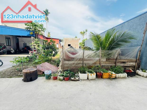 Bán đất Hưng Đạo - Dương Kinh - Hải Phòng - 3