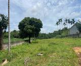 💥 Đất Vàng Kim Bôi: 3.000m² Full Tiềm Năng – 1.110m² Thổ Cư Đón Sóng Tăng Giá!