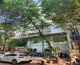 Nguyễn Cơ Thạch, Mỹ Đình - Nam Từ Liêm 156m*8T 1 HẦM THANG MÁY giá 195 triệu