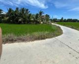 🔥 HƠN 1.000M² FULL THỔ CƯ – CHỈ 3 TRIỆU/M² TẠI PHƯỜNG NINH HÒA 🔥 LH: 0869074654