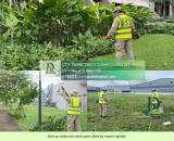 DỊCH VỤ CẮT CỎ – CHĂM SÓC CÂY XANH BIÊN HÒA ĐỒNG NAI | CHUYÊN NGHIỆP – UY TÍN