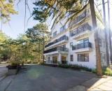 Cho thuê khách sạn 3 sao 36 phòng view rừng thông giá 135 triệu gần Hồ Tuyền Lâm tại Đà