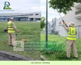 Dịch Vụ Cắt Cỏ Cưa Cây Thủ Đức TPHCM
