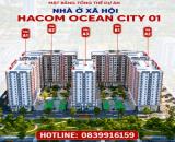 NOXH Hacom Ocean City 01 liên hệ 0839916159