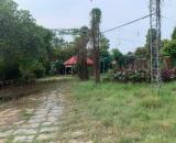 CHÍNH CHỦ CHO THUÊ 2.000M² ĐẤT ĐẸP TẠI TUY HÒA – PHÙ HỢP MỞ NHÀ HÀNG SÂN VƯỜN, GARA Ô TÔ