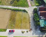 91m2 đất Nghi Trường giá rẻ , đường nhựa 7m thông thoáng