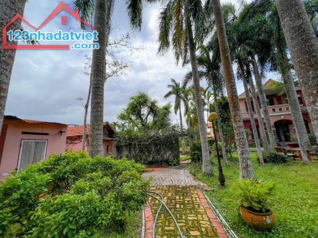 GIẢM SỐC 7,5 TỶ – BIỆT THỰ SÂN VƯỜN 4.000m² ĐẲNG CẤP TẠI CỦ CHI - 2