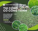 CUNG CẤP CỎ NHUNG NHẬT – CỎ LÁ GỪNG ĐỒNG NAI
